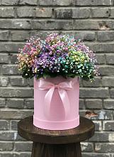 Цветочная композиция из Гипсофила и Розы в шляпной коробке #REPLACE_PRED# Новый Милет