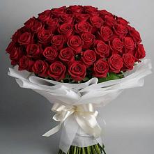 Букет 101 Красная роза Блэк Мэджик #REPLACE_PRED# Новый Милет
