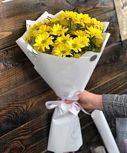 Букет цветов из:  Хризантемы #REPLACE_PRED# Новый Милет