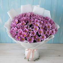 Букет цветов из:  Хризантемы в Новый Милет