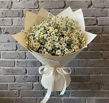 Букет цветов из:  Ромашки в Новый Милет