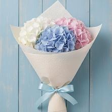 Букет цветов из:  Гортензия в Новый Милет