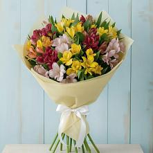 Букет цветов из:  Альстромерии #REPLACE_PRED# Новый Милет