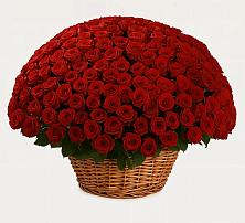 Премиум букет из: Розы #REPLACE_PRED# Новый Милет