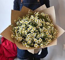 Букет цветов из:  Ромашки #REPLACE_PRED# Новый Милет